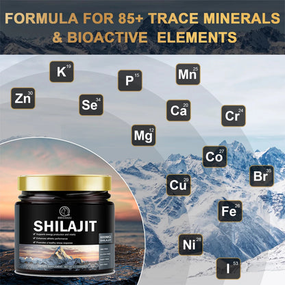 60g 100% Himalaya Pure Shilajit Resin Original Mineral Health Supplement